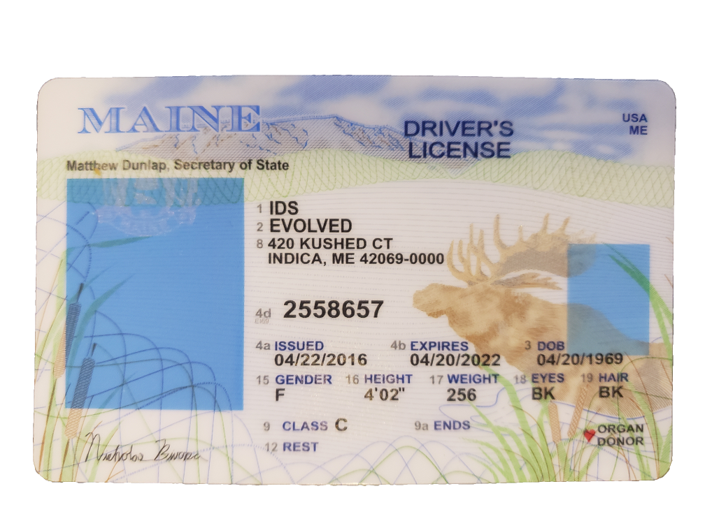 Where To Buy A Maine Scannable Fake Id